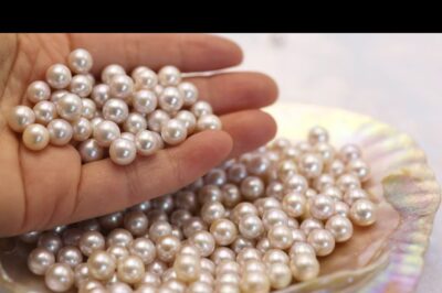 Aurora, Akoya, Menta Rose Freshwater Pearl Valuation Guide